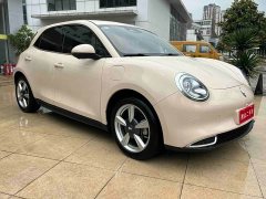 ORA Good Cat Morandis 400km Standard Range Luxury Ternary Lithium - ფოტო 4