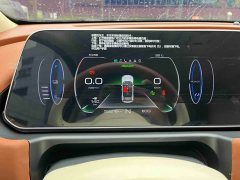 ORA Good Cat Morandis 400km Standard Range Luxury Ternary Lithium - ფოტო 7