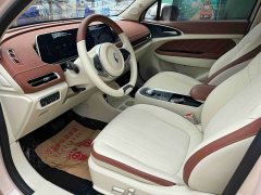 ORA Good Cat Morandis 400km Standard Range Luxury Ternary Lithium - ფოტო 8