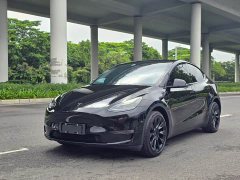 Tesla Model Y Long Range All-Wheel Drive - ფოტო 1