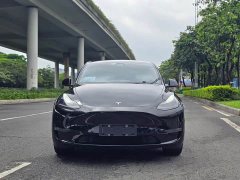 Tesla Model Y Long Range All-Wheel Drive - ფოტო 2
