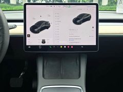 Tesla Model Y Long Range All-Wheel Drive - ფოტო 5