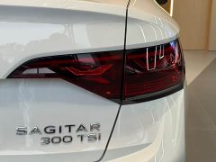 Volkswagen Sagitar 300TSI DSG Excellence Edition - ფოტო 14