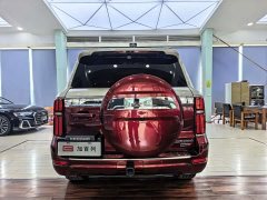 Tank 500 New Energy Hi4-T - ფოტო 19