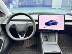 Tesla Model 3 Long Range All-Wheel Drive - ფოტო 10