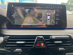 BMW 5 Series 530Li Executive Luxury Package - ფოტო 10