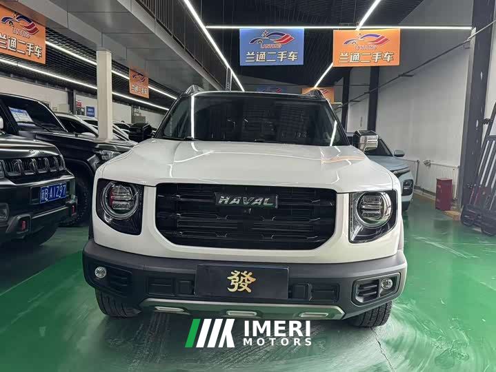 Great Wall Dachshund 1.5T DCT Two-Wheel Drive Labrador Edition