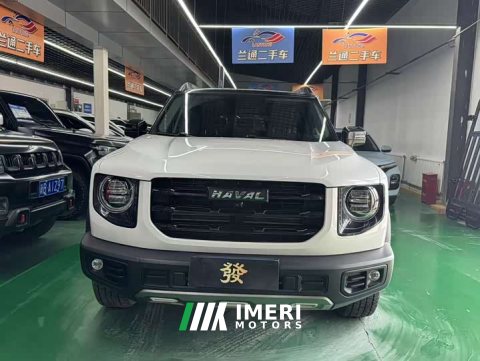 2021 Great Wall Dachshund 1.5T DCT Two-Wheel Drive Labrador Edition - ავტომობილი ჩინეთიდან