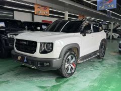Great Wall Dachshund 1.5T DCT Two-Wheel Drive Labrador Edition - ფოტო 3