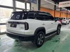 Great Wall Dachshund 1.5T DCT Two-Wheel Drive Labrador Edition - ფოტო 6