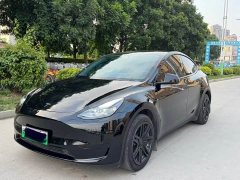 Tesla Model Y Rear-Wheel Drive - ფოტო 4