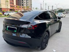 Tesla Model Y Rear-Wheel Drive - ფოტო 9