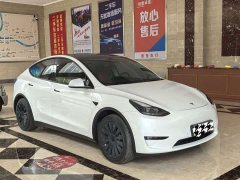 Tesla Model Y Rear-Wheel Drive - ფოტო 1
