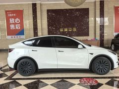 Tesla Model Y Rear-Wheel Drive - ფოტო 3