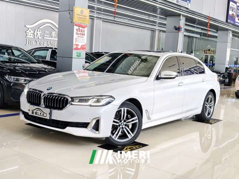 2021 BMW 5 Series Facelift 530Li xDrive Luxury Package - ავტომობილი ჩინეთიდან