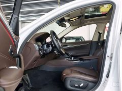 BMW 5 Series Facelift 530Li xDrive Luxury Package - ფოტო 5