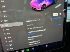 Tesla Model Y 2022 Facelift Rear-Wheel Drive - ფოტო 18