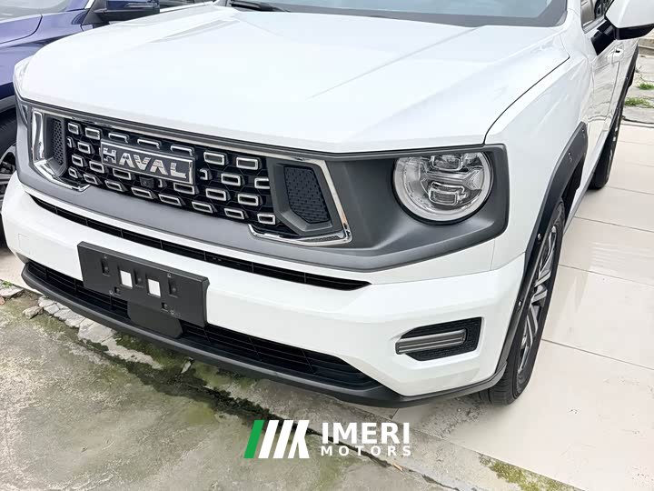 Haval Big Dog PLUS 1.5T Two-Wheel Drive Trendy Wilderness Edition Plus - ავტომობილი ჩინეთიდან