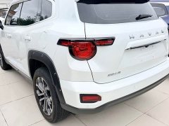 Haval Big Dog PLUS 1.5T Two-Wheel Drive Trendy Wilderness Edition Plus - ფოტო 8