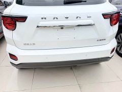 Haval Big Dog PLUS 1.5T Two-Wheel Drive Trendy Wilderness Edition Plus - ფოტო 9