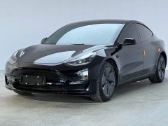 Tesla Model 3 Rear-Wheel Drive - photo 1
