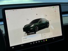 Tesla Model 3 Rear-Wheel Drive - photo 10