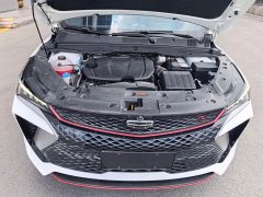 Geely Bingyue 2023 Bingyue COOL 1.5TD DCT Champion Edition - ფოტო 19