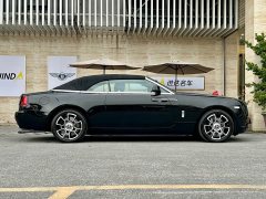 Yaoying Standard 6.6T - фото 2