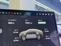 Nio Lerado L60 2024 60kWh AWD - ფოტო 13