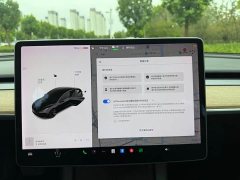 Tesla Model 3 Standard Range RWD Upgrade - ფოტო 14