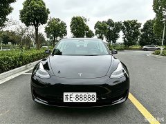 Tesla Model 3 Standard Range RWD Upgrade - ფოტო 2