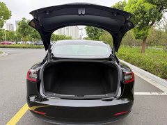Tesla Model 3 Standard Range RWD Upgrade - ფოტო 8