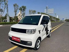 Wuling Hongguang MINIEV Easy Edition LFP Battery - ფოტო 2