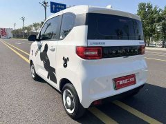 Wuling Hongguang MINIEV Easy Edition LFP Battery - ფოტო 7