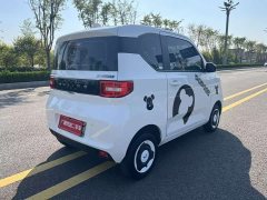Wuling Hongguang MINIEV Easy Edition LFP Battery - ფოტო 9