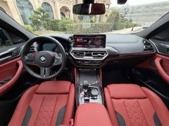 BMW X4 M 2022 X4 M Thunder Edition - ფოტო 7