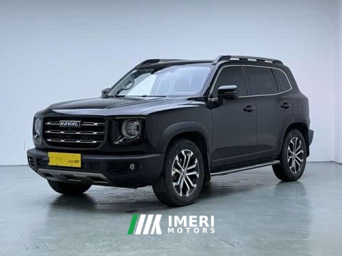 2021 Great Wall Dachshund 1.5T DCT Two-Wheel Drive Malinois Edition - ავტომობილი ჩინეთიდან