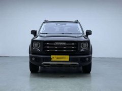 Great Wall Dachshund 1.5T DCT Two-Wheel Drive Malinois Edition - ფოტო 2