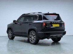 Great Wall Dachshund 1.5T DCT Two-Wheel Drive Malinois Edition - ფოტო 4