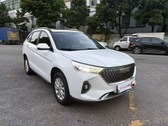 Haval M6 PLUS 1.5T DCT Luxury Smart Connected Edition - ფოტო 3