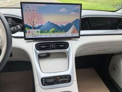 Geely Xing Yuan 310km Dream Edition - ფოტო 10
