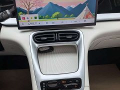 Geely Xing Yuan 310km Dream Edition - ფოტო 11