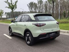 Geely Xing Yuan 310km Dream Edition - ფოტო 20