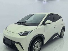 BYD Seagull Glory Edition 305km Vitality Version - ფოტო 1