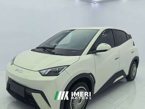 2024 BYD Seagull Glory Edition 305km Vitality Version - ავტომობილი ჩინეთიდან