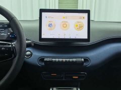 BYD Seagull Glory Edition 305km Vitality Version - ფოტო 10