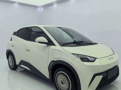 BYD Seagull Glory Edition 305km Vitality Version - ფოტო 2