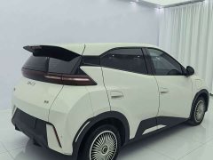 BYD Seagull Glory Edition 305km Vitality Version - ფოტო 3