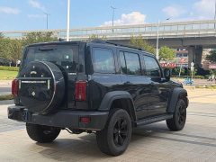 Tank 300 2023 Off-Road Edition 2.0T Conqueror - ფოტო 6