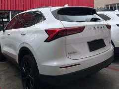 Haval H6 1.5T Two-Wheel Drive Max - ფოტო 8